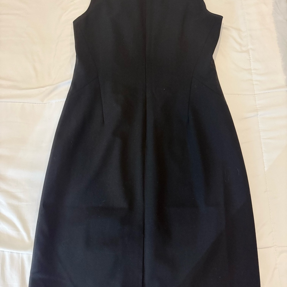 NWT Ann Taylor dress sz 8p - Picture 5 of 6